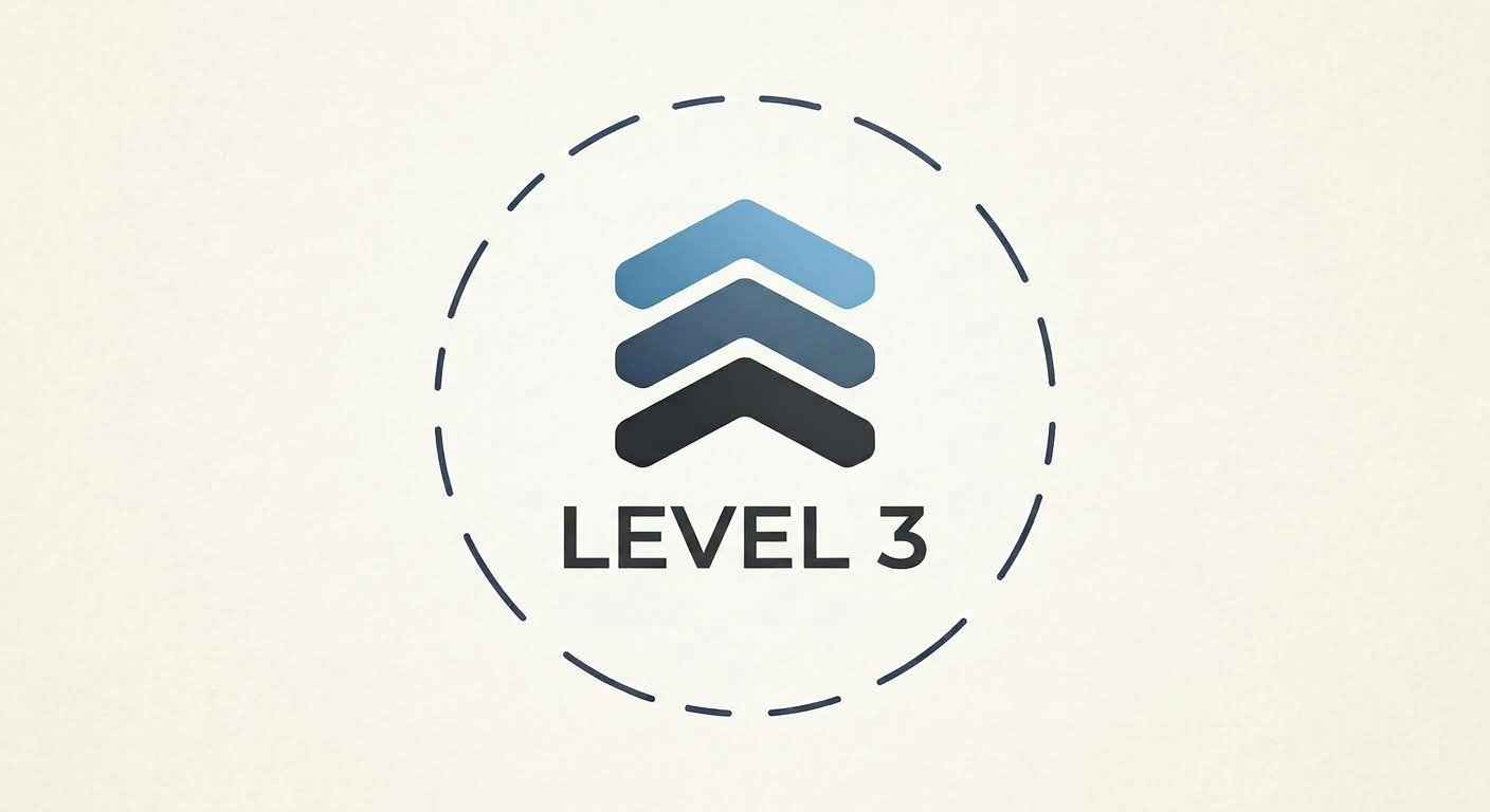 Level 3